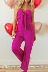 LIZAKOSHT - Tied Tube Wide Leg Jumpsuit