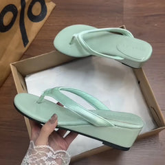 LIZAKOSHT - Designer Summer Women Wedges Heel Slippers Concise Street Style Dress Slide Ladies Non Slip Beach Vacation Clip Toe Sandalias