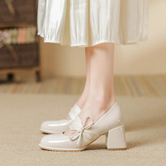 LIZAKOSHT High heeled women's new thick heeled mid heeled single shoes paired with fairy skirts, cheongsam shoes, French Mary Jane shoes