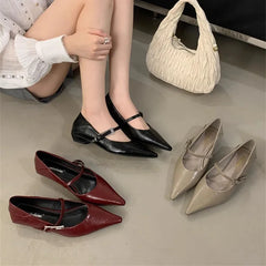 LIZAKOSHT - Women Flats Shoes Fashion Brand Buckle Strap Ballet Flats Ladies Shoes Spring Footwear Casual Flat Heels Mary Jane Female Mujer