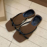 42783026512078|42783026905294|42783026938062|42783026970830|42783027003598