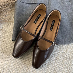 LIZAKOSHT - Brown Autumn Women Flat Shoes Fashion Pointed Toe Shallow Slip On Ladies Elegant Csual Ballet Shoes Dress Laofer Shoes