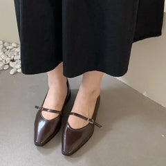 LIZAKOSHT - Brown Autumn Women Flat Shoes Fashion Pointed Toe Shallow Slip On Ladies Elegant Csual Ballet Shoes Dress Laofer Shoes