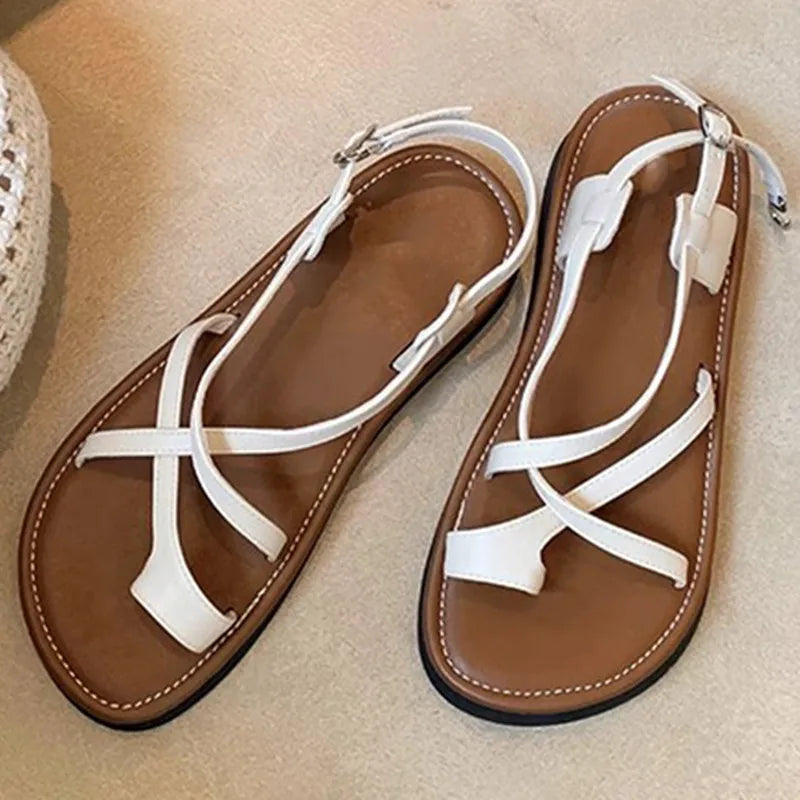 42776329814222|42776329846990|42776329879758|42776329912526|42776329945294|42776329978062