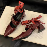 LIZAKOSHT  -  Fashion Designer Mary Jane Shoes Women Pointed Toe Chunky Retro Women Shoes Ankle Ribbon Belt Buckle Street Style Women Pumps