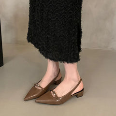 LIZAKOSHT  -  Women Sandals Fashion Slingback Woman Mules Shoes Pumps Dress Shoes Pointed Toe Elegant Low-heel Shoes New Woman Shoes
