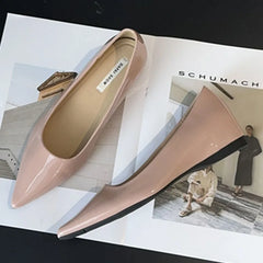 LIZAKOSHT - Autumn Women Pointed Toe Women Boat Shoes Fashion Low Wedge Heel Ladies Elegant Ballerinas Shoes Dress Pumps New Shoes Woman New