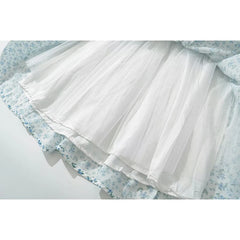 LIZAKOSHT - Women Mesh Patchwork Floral Print Tank Mini Dress Sexy Sleeveless V Neck Low Waist Female Holiday Summer Dresses Party