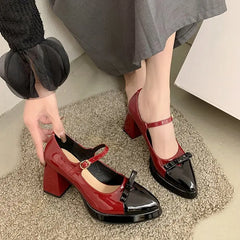 LIZAKOSHT - Women Shoes Spring Pumps Casual Heels Chunky Sandals Footwear Pointed Wedge Basketball Platform Mary Jane Latest Comfortabl
