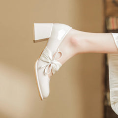LIZAKOSHT High heeled women's new thick heeled mid heeled single shoes paired with fairy skirts, cheongsam shoes, French Mary Jane shoes