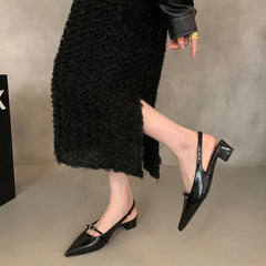 LIZAKOSHT  -  Women Sandals Fashion Slingback Woman Mules Shoes Pumps Dress Shoes Pointed Toe Elegant Low-heel Shoes New Woman Shoes