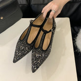 LIZAKOSHT  -  Luxury Designer Flats Mary Jane Shoes Bling Pointed Toe T-Strap Soft Sole Women Shoes Shallow Comfort Dress Shoes Zapatos Mujer