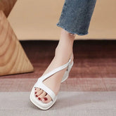 42654167040206|42654167072974|42654167105742|42654167138510|42654167171278|42654167204046