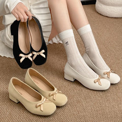 LIZAKOSHT - Vintage Thick Heel Women Mary Jane Shoes Comfort Slip on Walking Shoes New Spring Autumn Concise Zapatos De Mujer