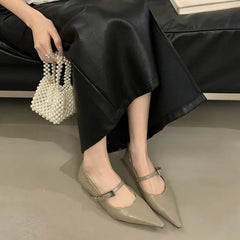 LIZAKOSHT - Women Flats Shoes Fashion Brand Buckle Strap Ballet Flats Ladies Shoes Spring Footwear Casual Flat Heels Mary Jane Female Mujer