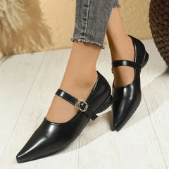 LIZAKOSHT - Plus Size 43 Vintage Pointed Toe Mary Jane Shoes Women Basic Black Low Heel Comfy Walk Flats Office Lady Shoes Daily Life