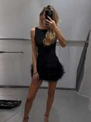LIZAKOSHT  -  Sleeveless Feather Short Dress Black Women Socialite Party Evening Gown Round Neck Slim Fit Plush Ladies Fashion Slimming Dress