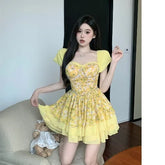 42826535239886|42826535305422|42826535370958