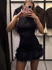 LIZAKOSHT  -  Sleeveless Feather Short Dress Black Women Socialite Party Evening Gown Round Neck Slim Fit Plush Ladies Fashion Slimming Dress