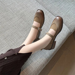 Lizakosht Spring/summer Women Shoes French Vintage Round Toe Chunky Heel Casual Mary Jane Shoes Women Pumps Handmade Shoes for Women