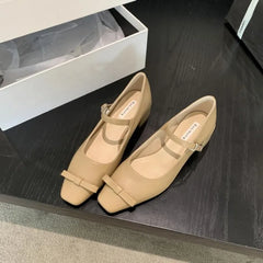 Lizakosht 2024 NEW Spring French Commute Mary Jane Women Flat Shoes Fashion Ladies Elegant Heel Dress Casual Ballet Shoes Mujer