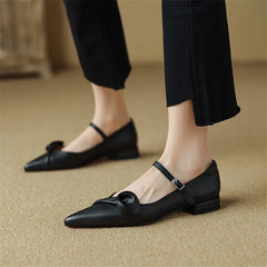 Lizakosht Spring/summer Mary Jane Shoes Genuine Leather Woman Shoes French Pointed Toe Low Heel Shoes Women Buckle Strap Women Pumps