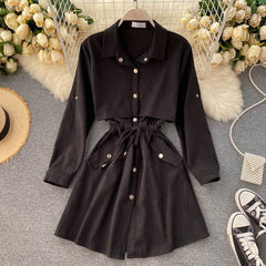 New Women Short Dress Spring Autumn Turn Down Collar Single-breasted Casual Dresses Ladies Shirts Dress
