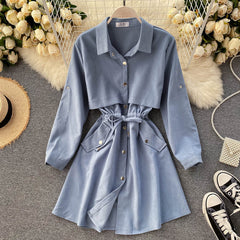 New Women Short Dress Spring Autumn Turn Down Collar Single-breasted Casual Dresses Ladies Shirts Dress