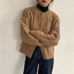 Autumn Spring Thick Single Breasted Cardigan Sweater Women Casual Loose Solid Knit Sweater Ladies Single Breasted Sweaters