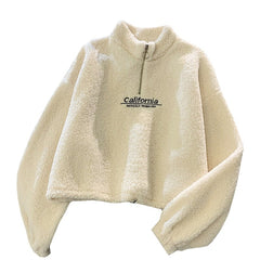Cashmere Short High Collar Hoodies Women Thicken Loose Korean Autumn Zipper Coat Embroider California Letters Sweatshirt Femme