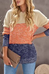 LIZAKOSHT  -  Color Block Round Neck Long Sleeve Sweater
