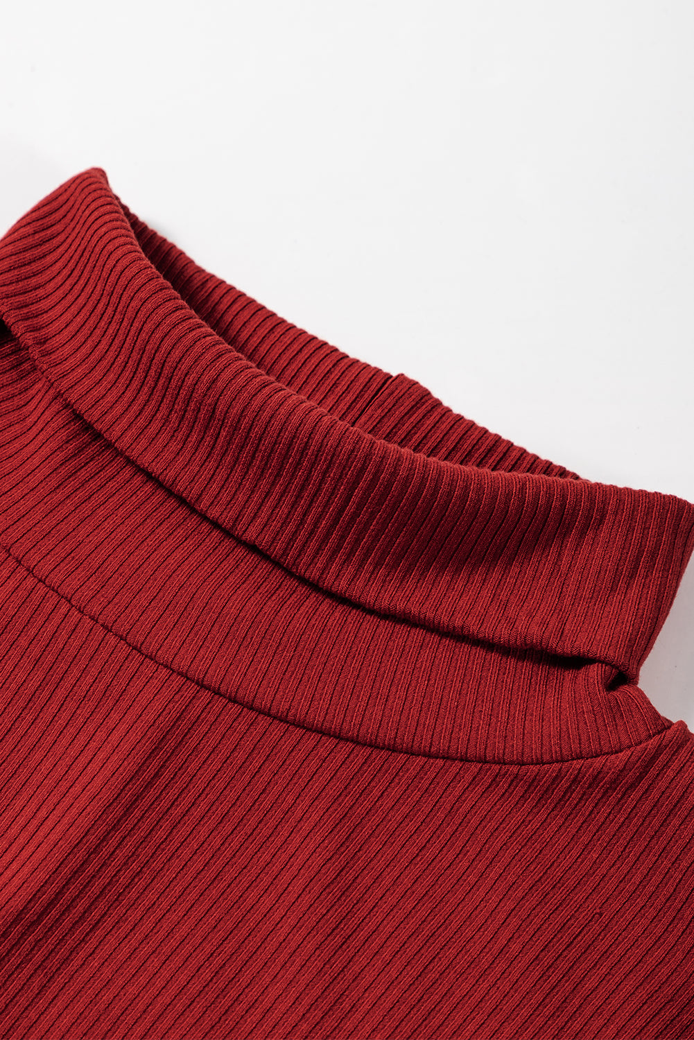 LIZAKOSHT  -  Ribbed Mock Neck Long Sleeve Mini Dress