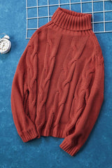 LIZAKOSHT  -  Cable-Knit Turtleneck Dropped Shoulder Sweater