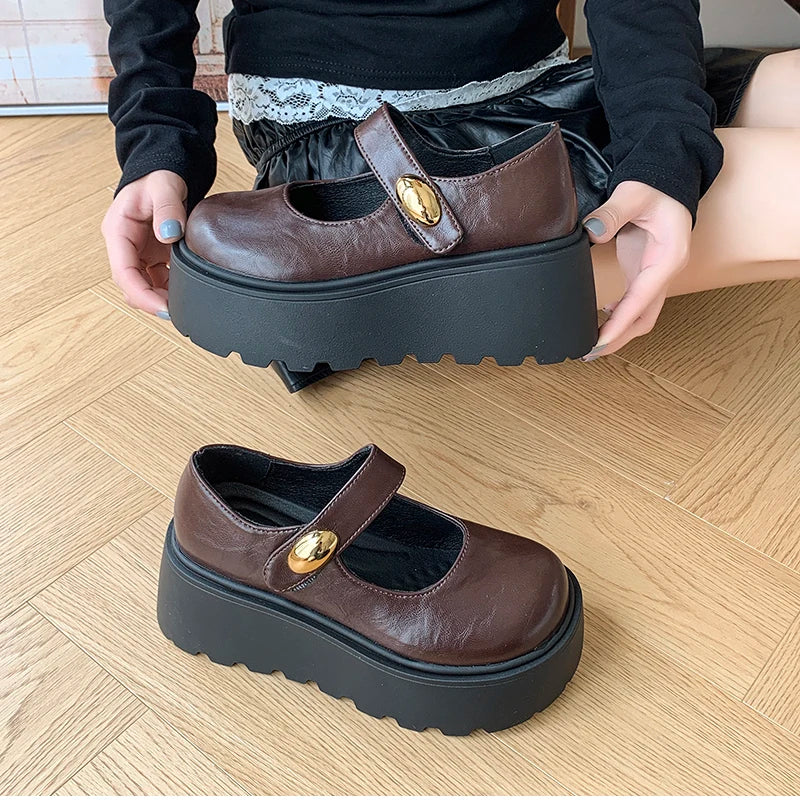 LIZAKOSHT  -  Autumn Vintage Platform Women Mary Jane Shoes  Fashion Outdoor Stripper Shoes Ladies Thick High Heels jk Leather Pumps