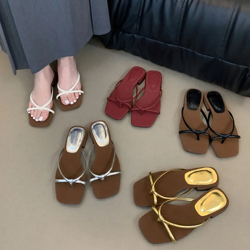 LIZAKOSHT  -  New Summer Women Slippers Flat Heel Sandal Female Flip Flops Brand Slipper French Elegant Narrow Band Slide Beach Sandalia Mujer