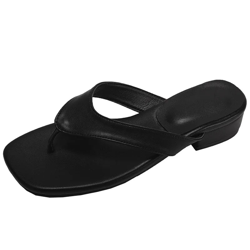 LIZAKOSHT  -  Gladiator Summer Clip Toe Women Slippers Fashion Low Heel Slide Ladies Outdoor Beach Dress Sandalias