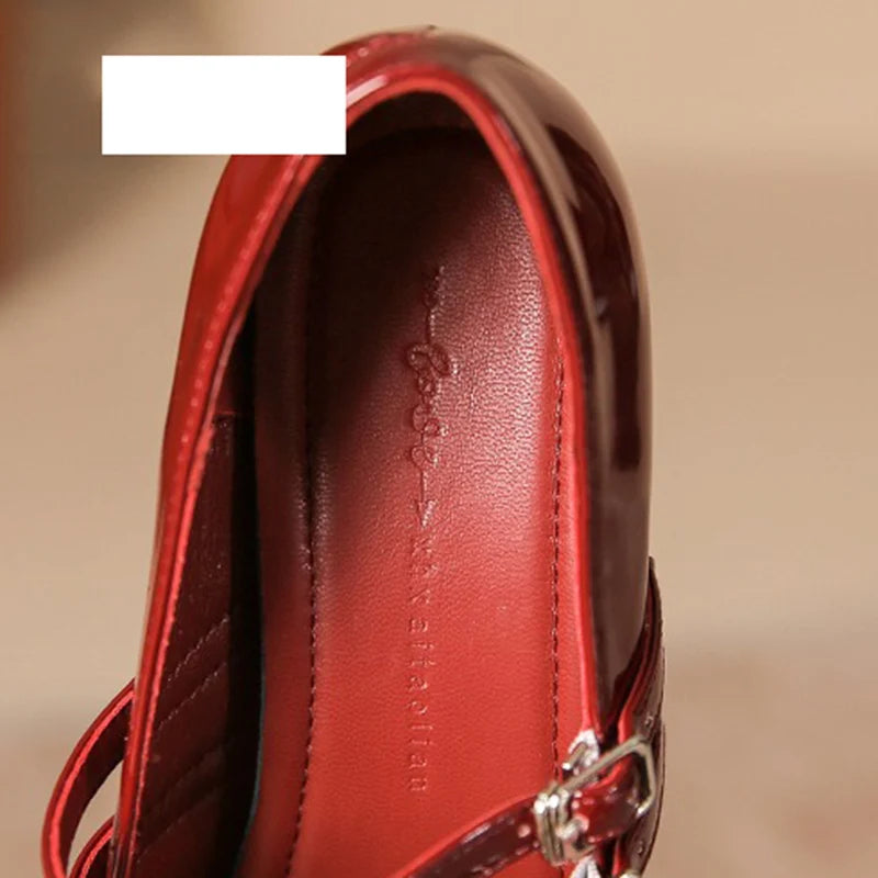 LIZAKOSHT  -  Women 4.5cm High Heels Classic French Style Pumps Female Metal Buckle Strap Thick Heels Lady Elegant Round Toe Mary Jane Shoes