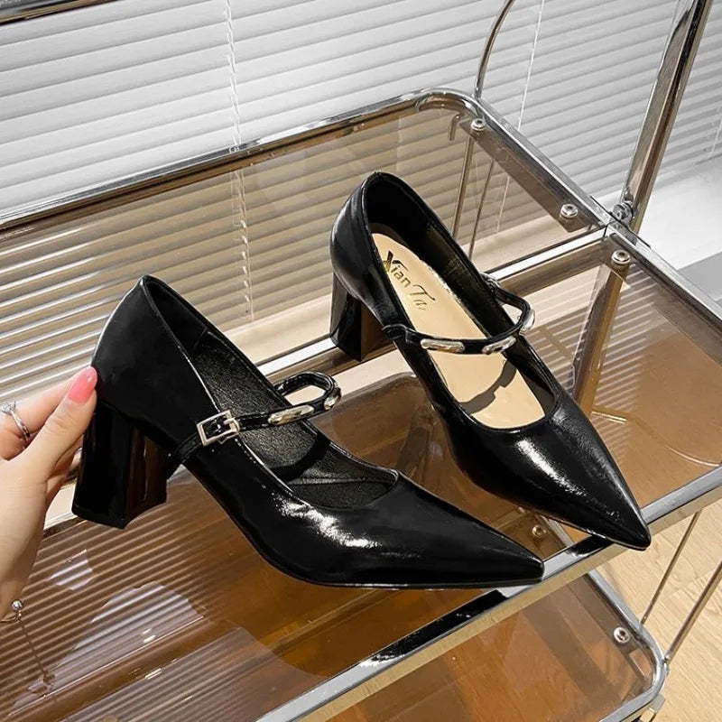 LIZAKOSHT  -  Women's New Style Comfortable Mary Jane Shoes Pointed Toe Chunky Heel High Heel Spring Summer Small Leather Versatile Shoes