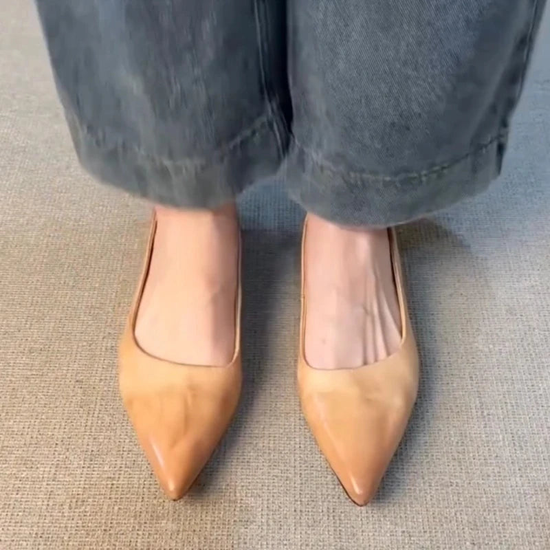 LIZAKOSHT  -  Elegant Women Shoes Shallow Comfort Footwear Female Concise Fashion Pointed Toe Pumps Women Office Shoes Zapatos De Mujer