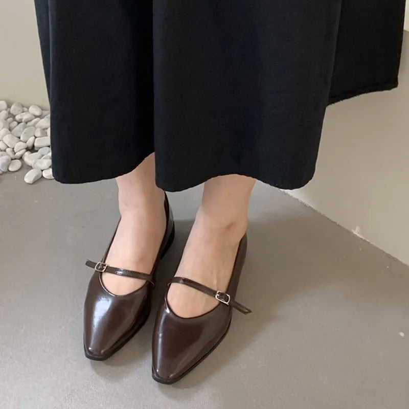 LIZAKOSHT  -  Brown Autumn Women Flat Shoes Fashion Pointed Toe Shallow Slip On Ladies Elegant Csual Ballet Shoes Dress Laofer Shoes