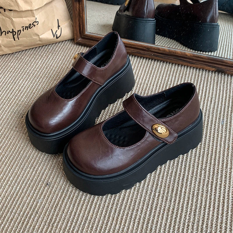 LIZAKOSHT  -  Autumn Vintage Platform Women Mary Jane Shoes  Fashion Outdoor Stripper Shoes Ladies Thick High Heels jk Leather Pumps