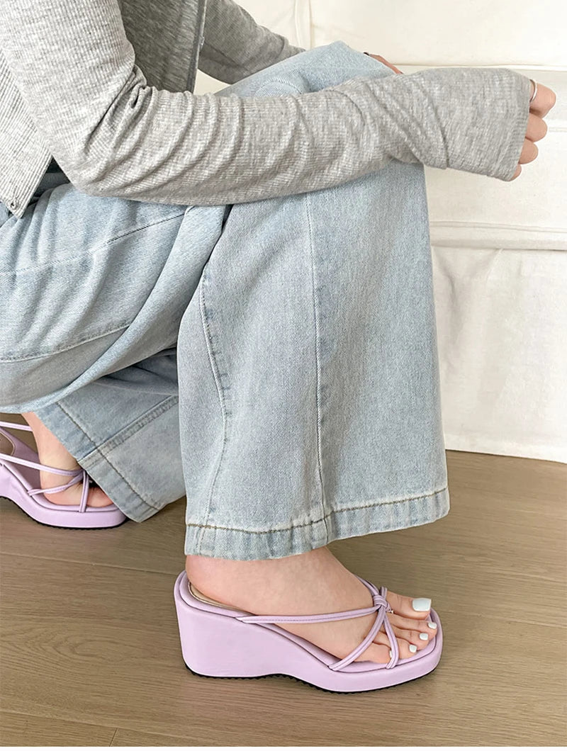 LIZAKOSHT  -  Designer Summer Women Wedges Heel Clip Toe Slippers Concise Narrow Band Slide Ladies Outdoor Party Dress Sandalias