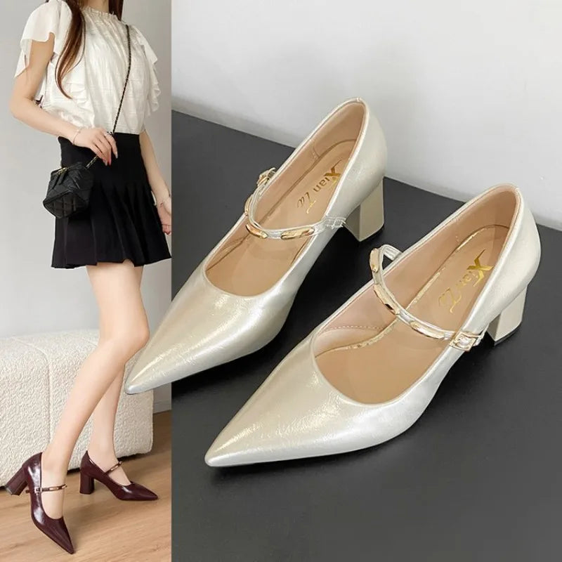 LIZAKOSHT  -  Women's New Style Comfortable Mary Jane Shoes Pointed Toe Chunky Heel High Heel Spring Summer Small Leather Versatile Shoes