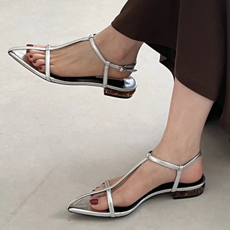 LIZAKOSHT  -  Fashion Clip Toe Sandals Women Flats Heels Ladies Shoes Narrow Band Gladiator Sandals Party Dress Ankle Strap Shoes Sliver Mujer
