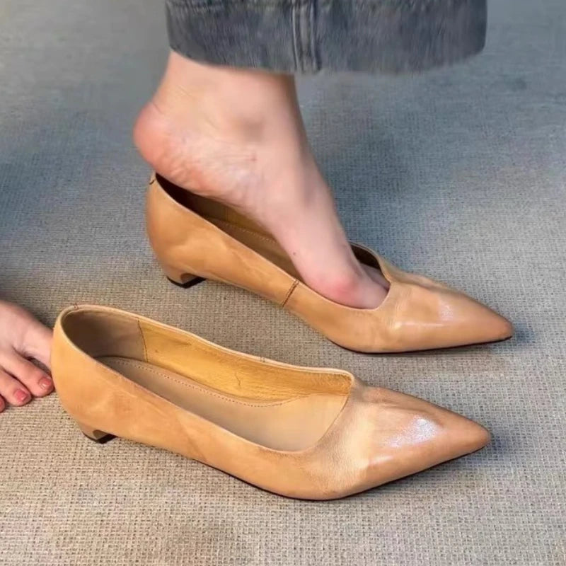 LIZAKOSHT  -  Elegant Women Shoes Shallow Comfort Footwear Female Concise Fashion Pointed Toe Pumps Women Office Shoes Zapatos De Mujer