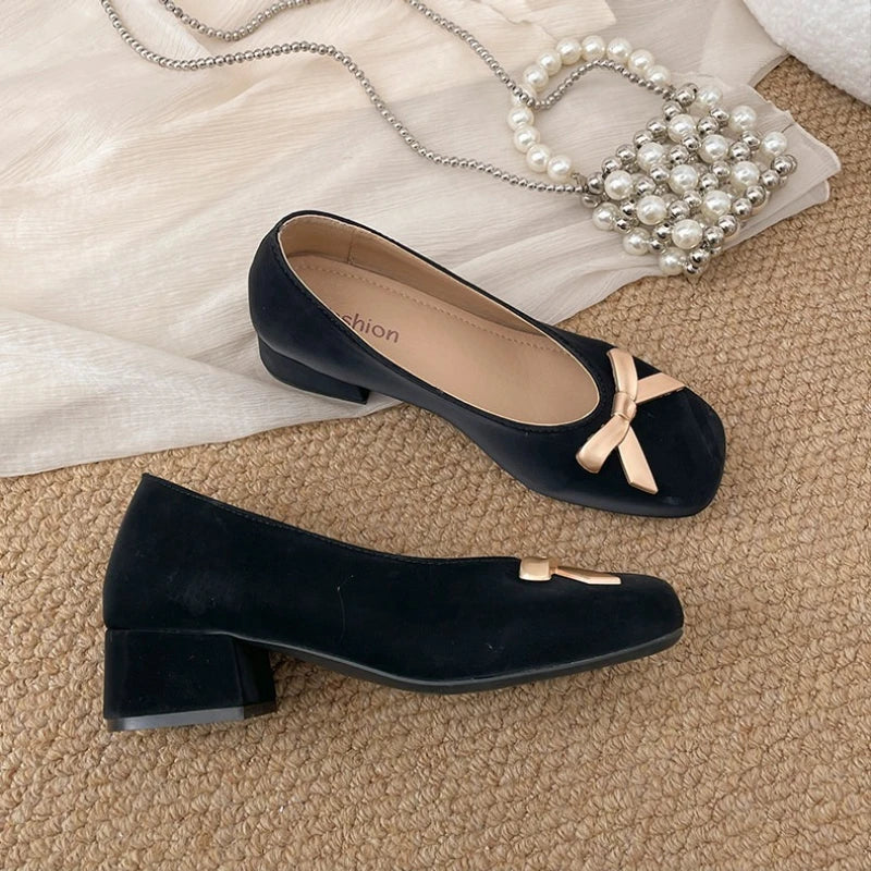 LIZAKOSHT  -    Vintage Thick Heel Women Mary Jane Shoes Comfort Slip on Walking Shoes New Spring Autumn Concise Zapatos De Mujer
