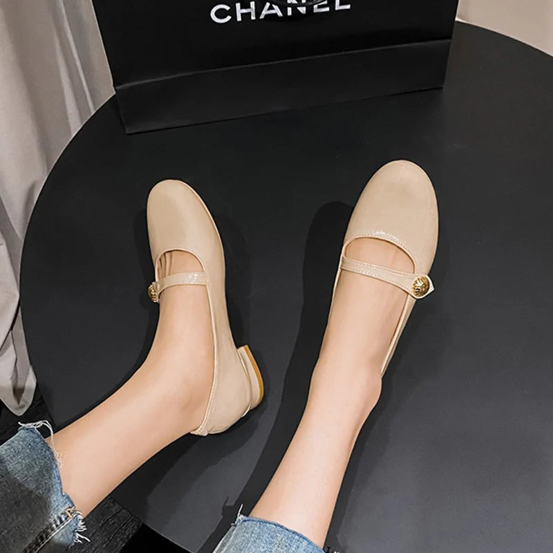 LIZAKOSHT  -  New Women 2.5cm Low Heels Concise Cinderella Shoes Lady Sweet French Style Pumps Female Luxury Metal Buckle Lace Up Lolita Shoes