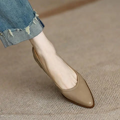 LIZAKOSHT  -  Women's Shoes Pumps Retro Brown Pointed Toe Thick Heels Spring Autumn Office Ladies Dress Pu Leather Fashion Elegant Woman Shoes