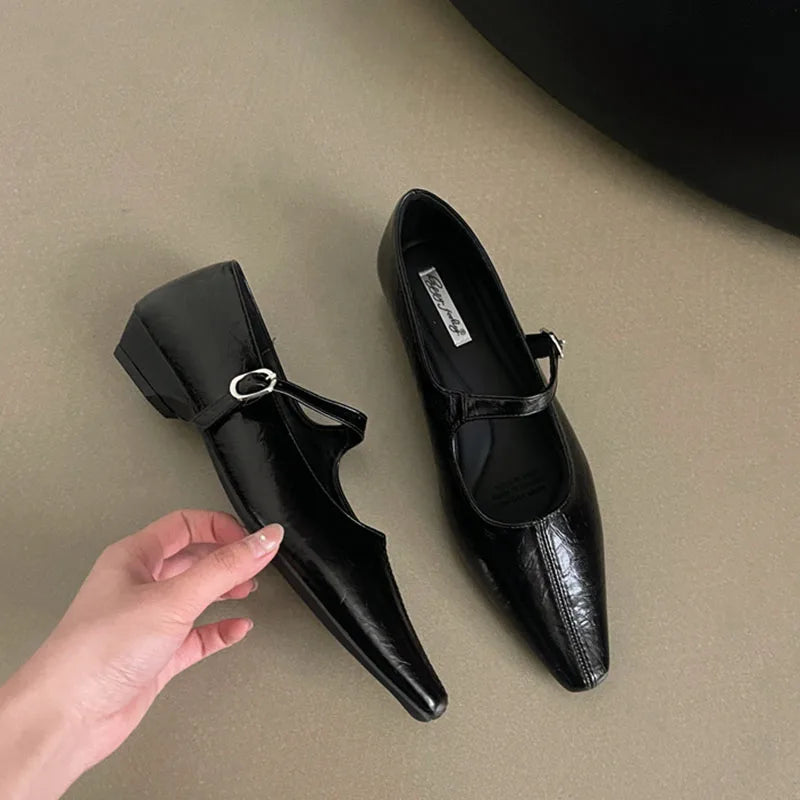 LIZAKOSHT  -  Spring New Brand Women Flat Shoes Fashion Round Toe Sahllow Elegant Baot Shoes Soft Flat Heel Mary Jane Shoes New Woman