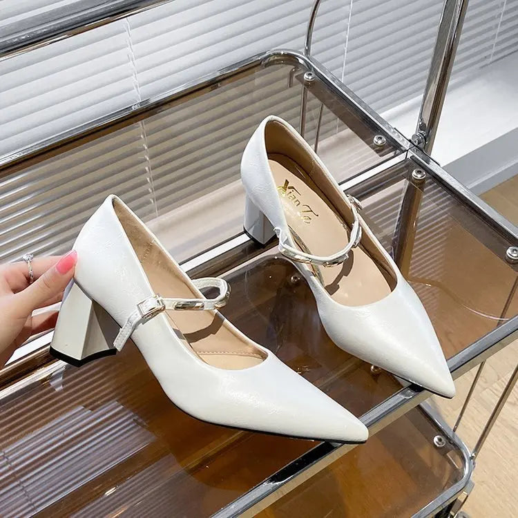 LIZAKOSHT  -  Women's New Style Comfortable Mary Jane Shoes Pointed Toe Chunky Heel High Heel Spring Summer Small Leather Versatile Shoes